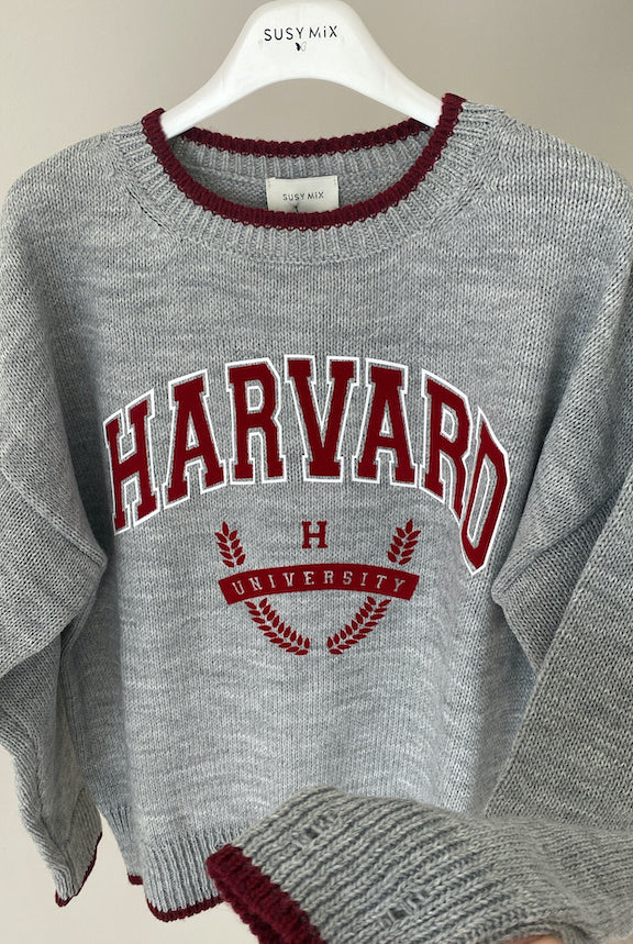 Maglioncino Susy Mix Harvard University e Columbia University