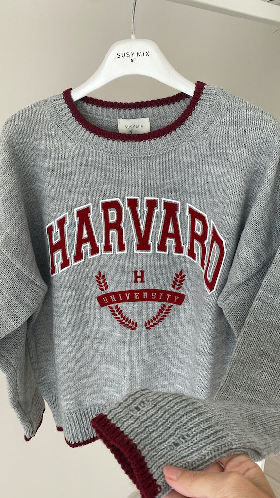 Maglioncino Susy Mix Harvard University e Columbia University